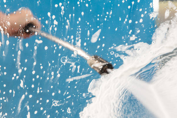 Animal Enclosure Cleaning in Forest Park, IL
